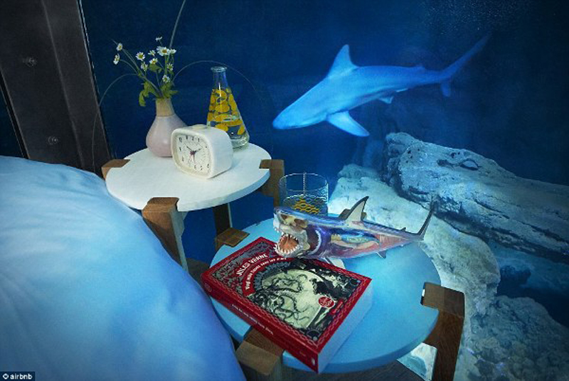 Bàn giường ngủ được đặt thêm một cuốn sách tìm hiểu về cá mập, thiết kế bàn, đồ đạc rất đầy đủ