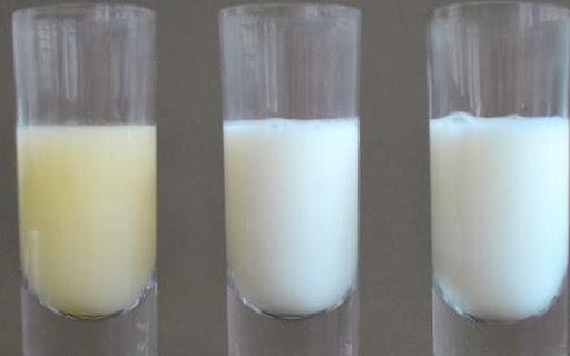 Làm sao để biết sữa tươi có bị vón cục hay không?